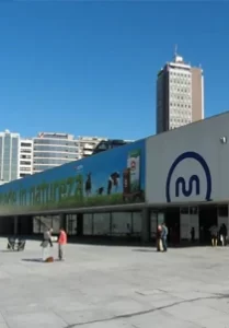 METRO TRINDADE